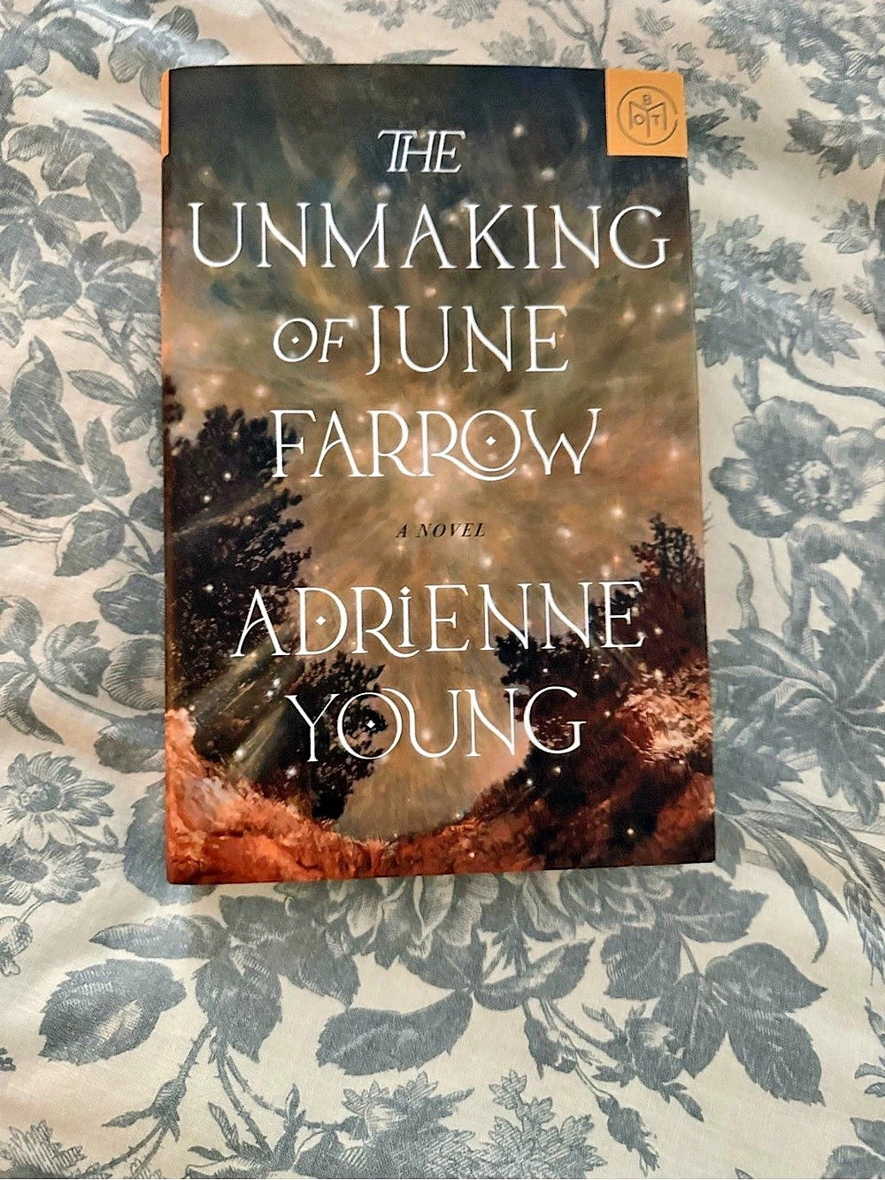 Book of the Month The Unmaking of June Farrow Novel Brown Cover